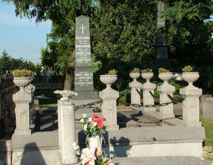 A Srkzy csald szolnoki sremlke. Fot: Ksa Kroly, 2010.08.24.