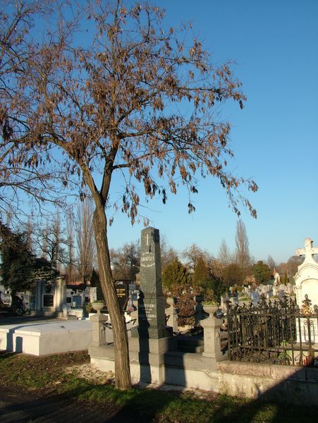A Srkzy csald szolnoki sremlke. Fot: Ksa Kroly, 2010.02.07.